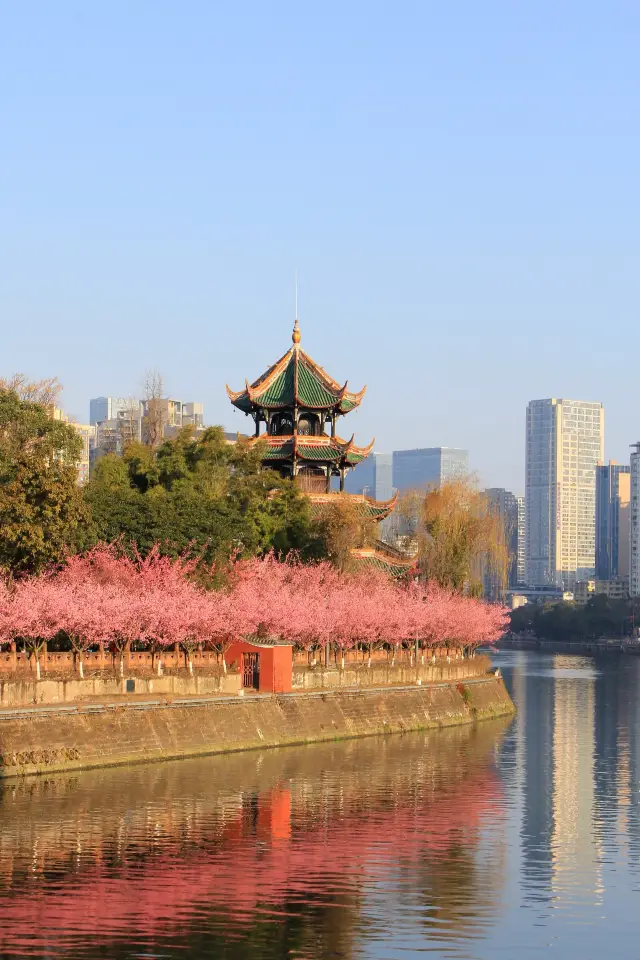 Spring arrives at Wangjiang Tower