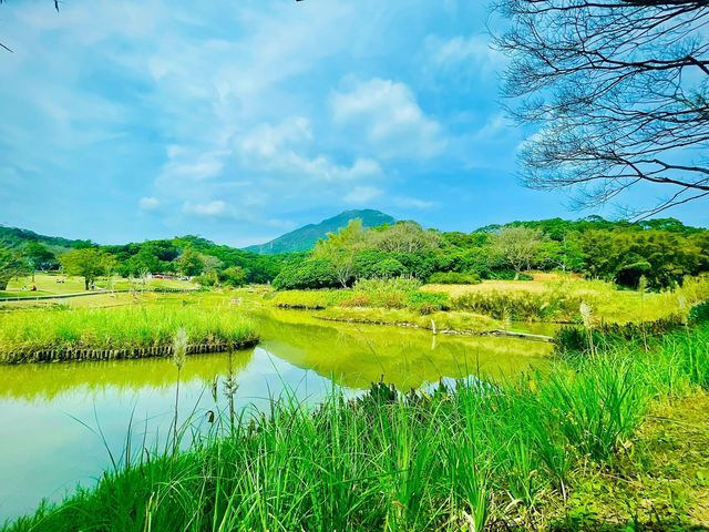 春節深圳休閒遊｜恩上水庫全攻略