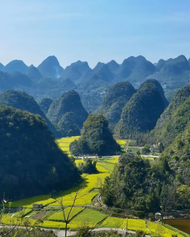 The colorful Guizhou Wanshenglin and the blooming rapeseed flowers are spicy