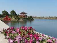 南京空氣好，景色好！銀杏湖如畫春天