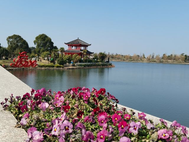 南京空氣好，景色好！銀杏湖如畫春天