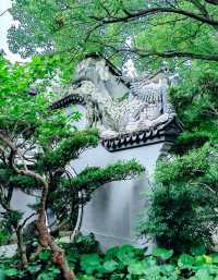 川沙公園|夏末時節,格外美麗