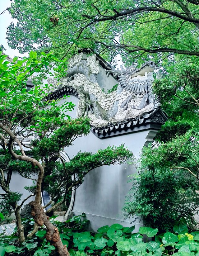 川沙公園|夏末時節,格外美麗 川沙公園|夏末時節,格外美麗