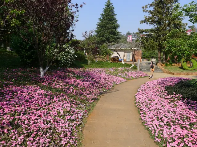 Expo Memories - Kunming Expo Garden