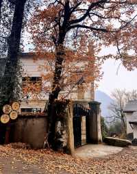 全球追秋｜杭州指南村遇見美麗秋景