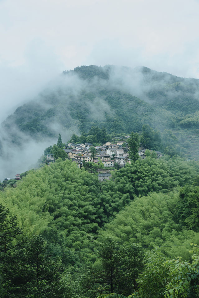 松陽這個雲上村落的出圈，不僅在於懸崖書屋