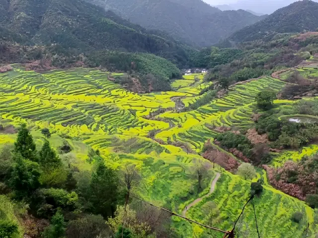 人間最美三月天，三月的婺源真的美的不像話！