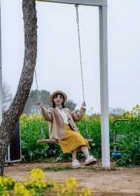 桠溪慢城｜南京最美油菜花海賞花攻略