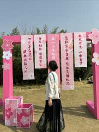 我在雁南公園，狠狠羨慕了雁塔人民的生活…