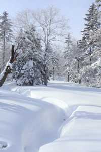 與雪來了一場浪漫的邂逅～｜幸福地在雪裡打滾