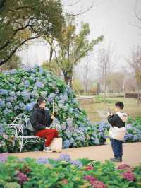 2024蘇州花展—蘇州上方山國家森林公園