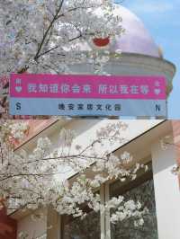 長沙｜櫻花大道·晚安文化公園