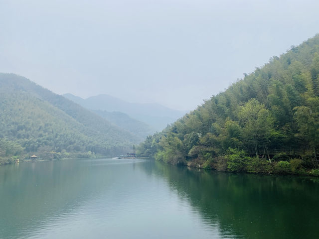 天堂南山，夢幻竹海—江蘇溧陽南山竹海景區