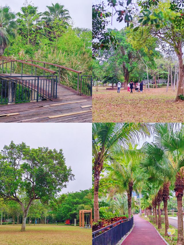 儋州｜南茶公園，竟然鋪了條塑膠步道！