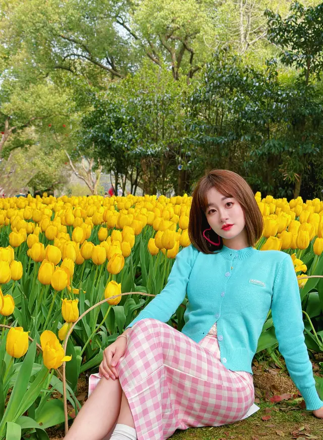 Wuxi is not only famous for its cherry blossoms, but the tulips in Meiyuan are also a top attraction in spring