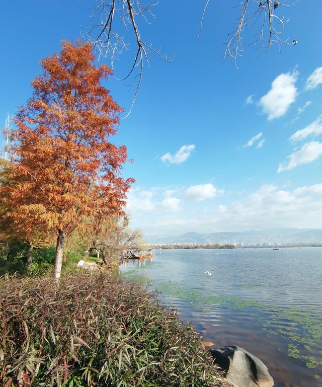 限時免費的四川旅遊景點，千萬別錯過