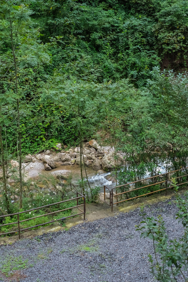 青城後山森林私湯｜禪意靜謐