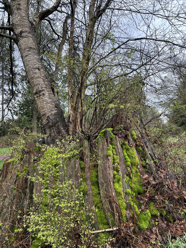 大溫地區的中央公園