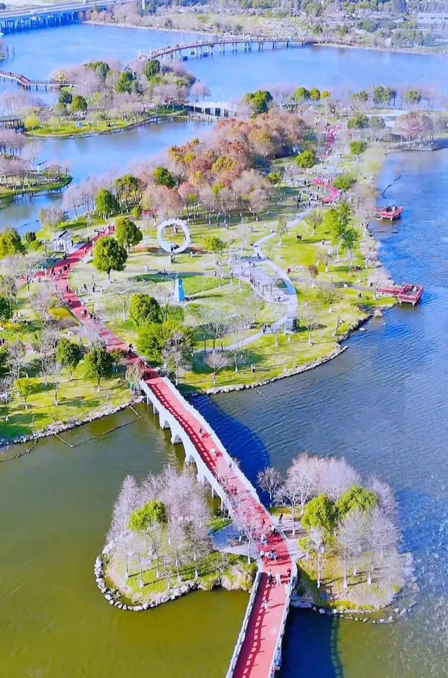 溫州樂清清和公園