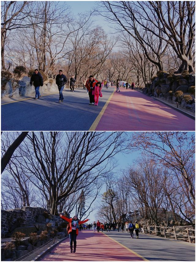 韓國首爾⑥｜眺望首爾全景南山公園&首爾塔