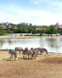 探索自然之美——曼谷野生動物世界的奇妙旅程