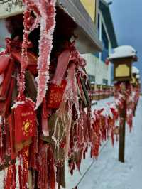 葛仙村：總有一場雪，為你而來