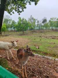 人與自然，和諧共生——大美洋沙湖濕地公園