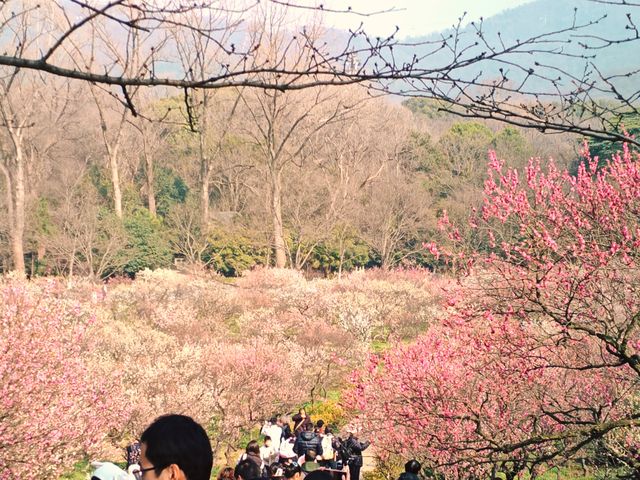 給點陽光就燦爛