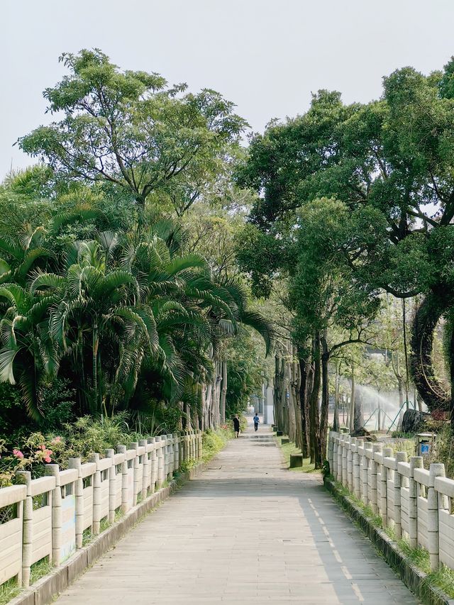 玩轉湛江｜中澳友誼花園