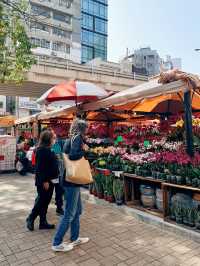 春日鮮花開滿街 | in旺角花墟