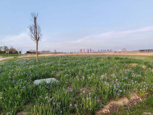 潮汐湖濕地公園