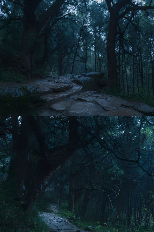 隨著四月的花瓣雨
