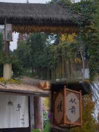 新開探秘！免費寫真，陪伴的春日下午茶民宿