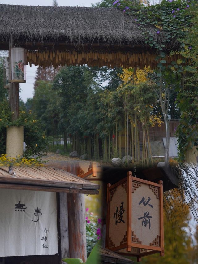 新開探秘！免費寫真，陪伴的春日下午茶民宿