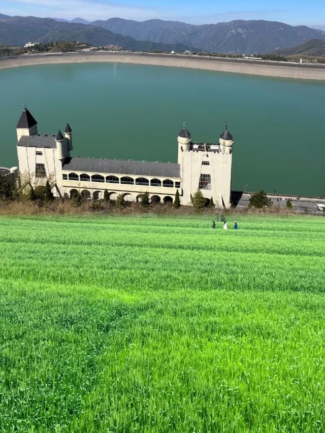 一個與世界失聯的48小時