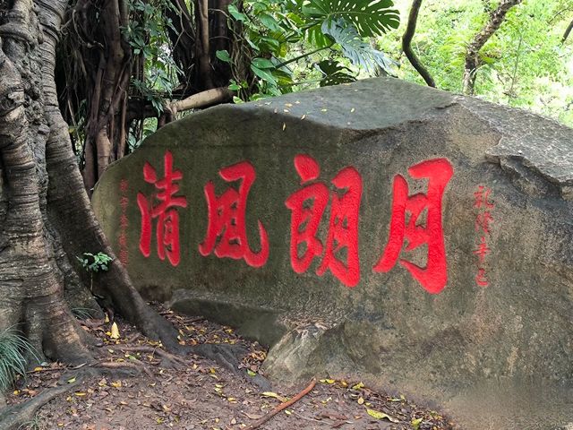 於山｜藏於鬧市中～獨守一方靜