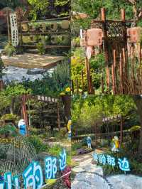 比起西湖，我更愛濟南的「現實版莫奈花園」