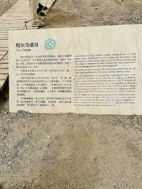 這裡不是那座大名鼎鼎的塔爾寺啊