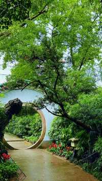 在廣州當雨後遇上詩畫嶺南的蘭圃