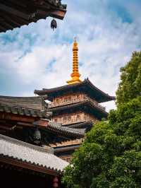 解鎖羅店古鎮百年龍船節，夏日端午的快樂都在這啦！