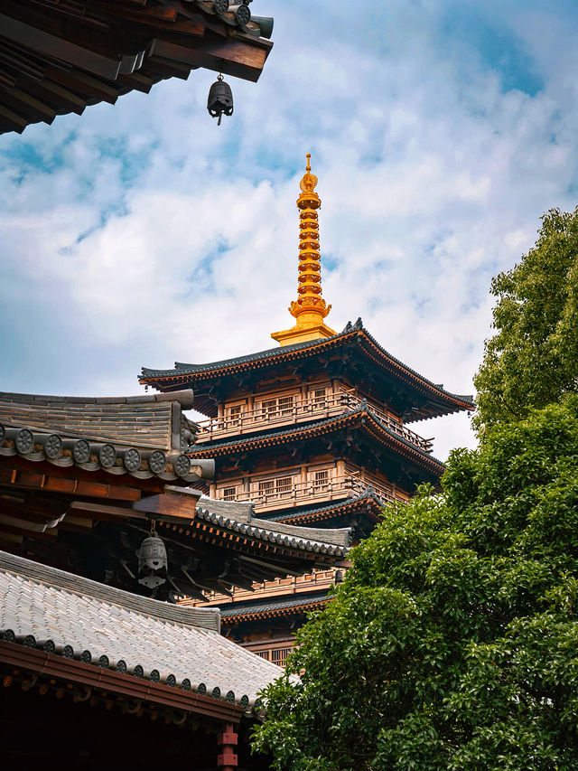 解鎖羅店古鎮百年龍船節，夏日端午的快樂都在這啦！
