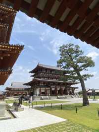 水稻田間，遙看藥師寺