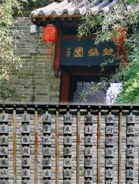 您好，亳州