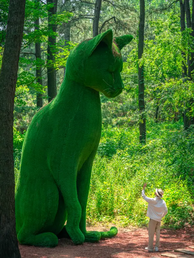 Within 1 hour from Nanjing, I found the magical forest for summer retreat