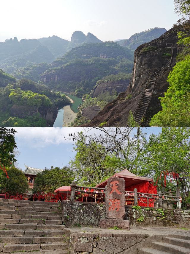 岩石清澈，樹木翠綠，茶香四溢，武夷山國家公園的真實體驗