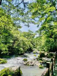 發現一個寶藏旅遊地～九路寨|打卡保康九路寨生態旅遊區