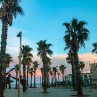 Barceloneta Beach is Beautiful at Sunset 🇪🇸