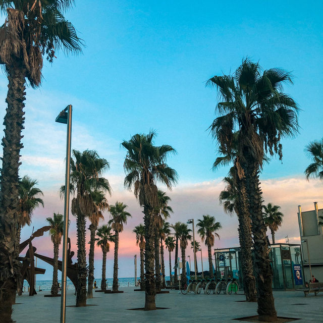 Barceloneta Beach is Beautiful at Sunset 🇪🇸