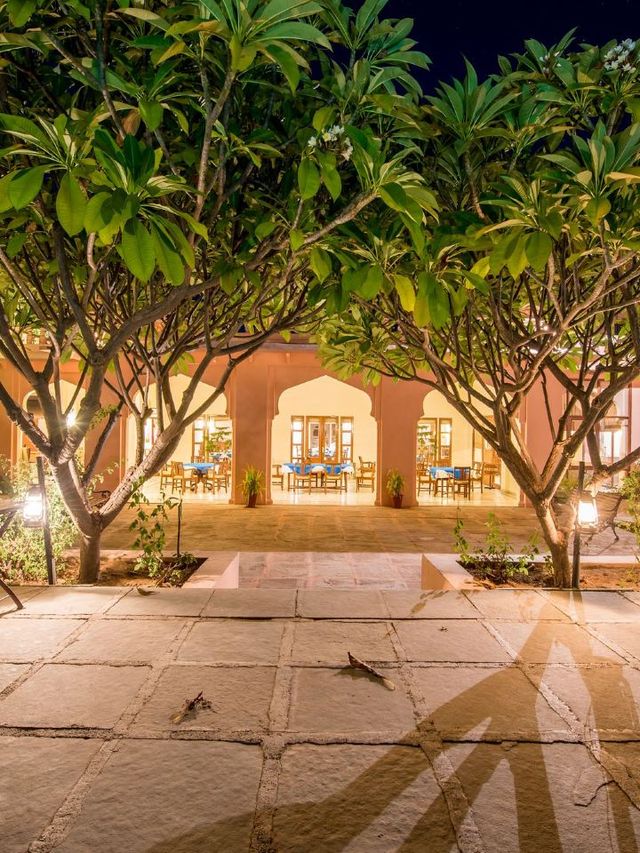 🌟 Ranthambhore's Regal Retreats 🐅✨