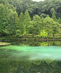 忠山公園 || 瀘州